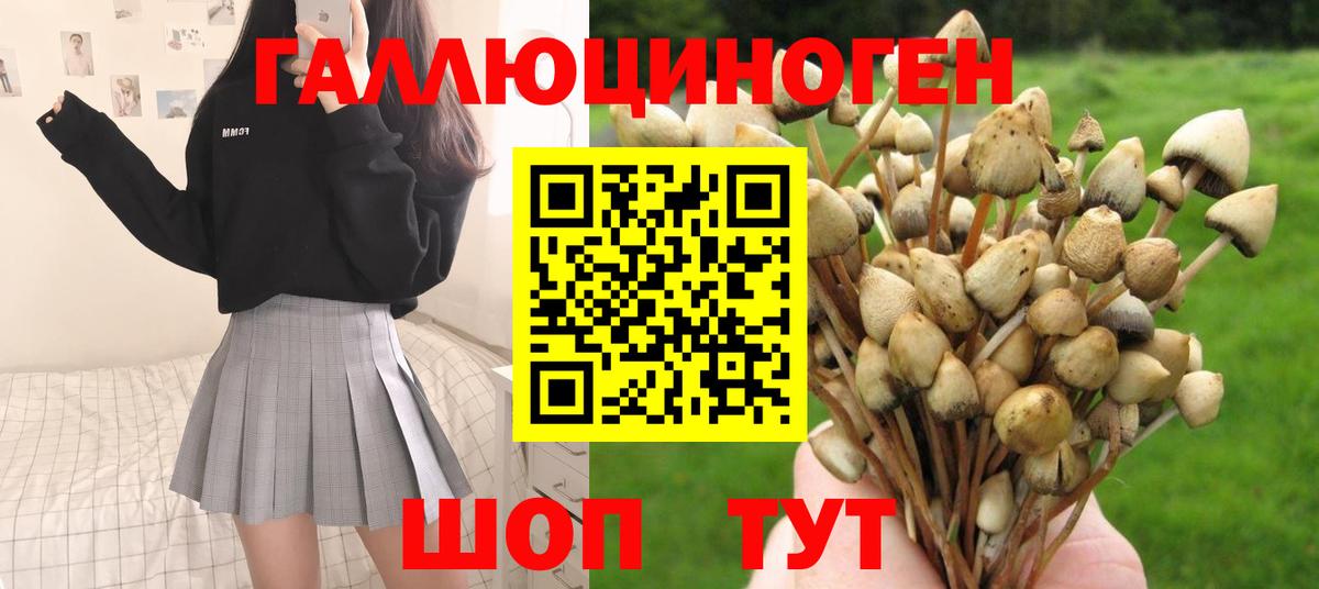 где купить наркотик  Вход с VPN  Керчь  Галлюциногенные грибы MAGIC MUSHROOMS  Галлюциногенные грибы MAGIC MUSHROOMS 